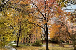 150-40 71st Ave, Kew Gardens, NY 11367 - Photo 1