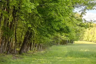 763 Co Rd 114, Cochecton Center, NY 12726 - Photo 20