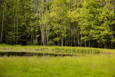 763 County Road 114, Cochecton Center, NY 12726 - Photo 12