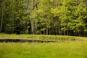 763 Co Rd 114, Cochecton Center, NY 12726 - Photo 12