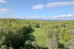 763 Co Rd 114, Cochecton Center, NY 12726 - Photo 2