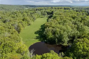 763 Co Rd 114, Cochecton Center, NY 12726 - Photo 6