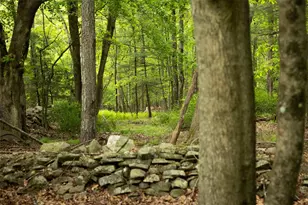 763 Co Rd 114, Cochecton Center, NY 12726 - Photo 16