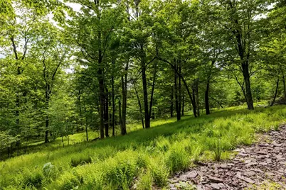 8 Forest Camp Road, Wawarsing, NY 12489 - Photo 8