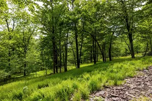 8 Forest Camp Rd, Wawarsing, NY 12489 - Photo 8