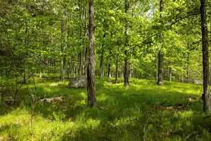 8 Forest Camp Rd, Wawarsing, NY 12489 - Photo 10