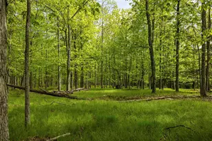 8 Forest Camp Rd, Wawarsing, NY 12489 - Photo 12