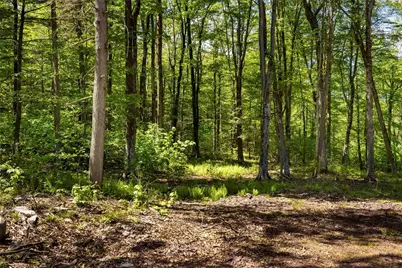 1 Red Rock Road, Wawarsing, NY 12489 - Photo 10