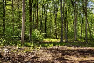 1 Red Rock Rd, Wawarsing, NY 12489 - Photo 10