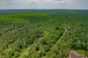 251 Haring Rd, Barryville, NY 12719 - Photo 22