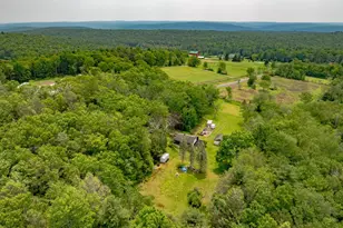 251 Haring Rd, Barryville, NY 12719 - Photo 28