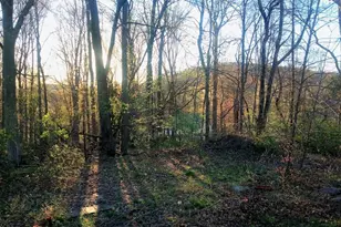 8 Newburgh Rd, Patterson, NY 12563 - Photo 22