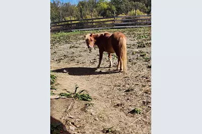 482 Scotchtown Avenue, Middletown, NY 10941 - Photo 38