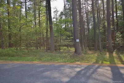 169 Mitchell Pond Road E, Cochecton Center, NY 12726 - Photo 26