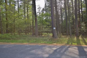 169 Mitchell Pond Road E, Cochecton Center, NY 12726 - Photo 26