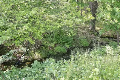 169 Mitchell Pond Road E, Cochecton Center, NY 12726 - Photo 10