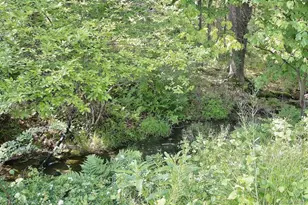 169 Mitchell Pond Road E, Cochecton Center, NY 12726 - Photo 10