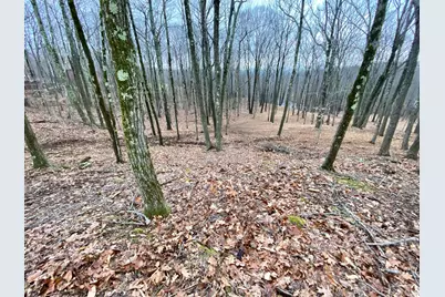 400 Mercer Mountain Road, East Chatham, NY 12060 - Photo 10