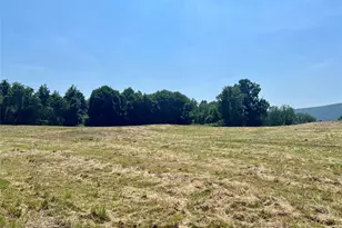 7668 Route 82, Pine Plains, NY 12567 - Photo 30