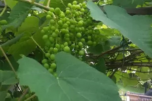 391 Bull Mill Rd, Chester, NY 10918 - Photo 28