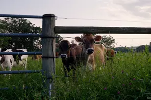 2039 Salt Point Turnpike, Salt Point, NY 12578 - Photo 6