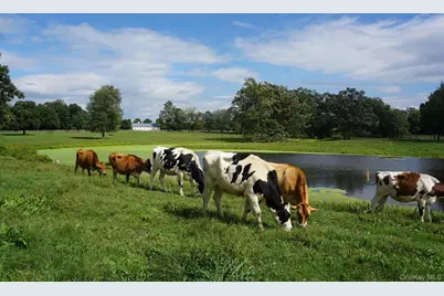 2039 Salt Point Turnpike, Salt Point, NY 12578 - Photo 30