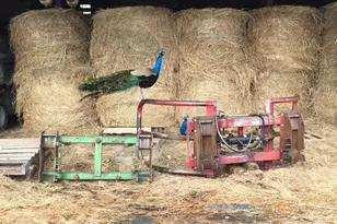 2039 Salt Point Turnpike, Salt Point, NY 12578 - Photo 32