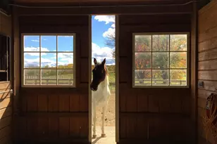 2039 Salt Point Turnpike, Salt Point, NY 12578 - Photo 8