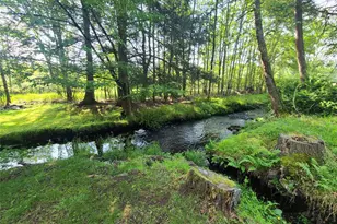 39 E James Ave, Smallwood, NY 12778 - Photo 4