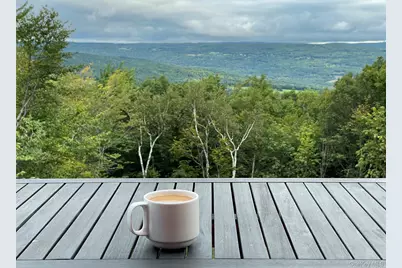 892 Durham Road, Gilboa, NY 12076 - Photo 28