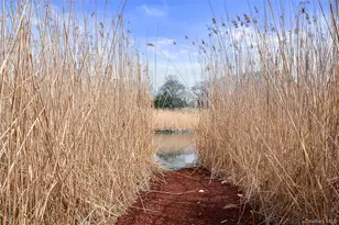 161 South Rd, Westhampton, NY 11977 - Photo 6