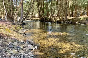 604 Basket Rd, Long Eddy, NY 12760 - Photo 4