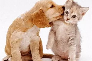 111-39 76th Rd, Forest Hills, NY 11375 - Photo 34