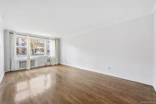 6 Birchwood Ct, Mineola, NY 11501 - Photo 4