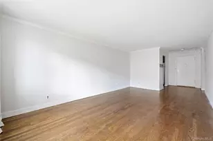 6 Birchwood Ct, Mineola, NY 11501 - Photo 6