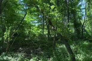 22 Beilke Rd, Millerton, NY 12546 - Photo 20