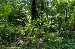 22 Beilke Rd, Millerton, NY 12546 - Photo 24