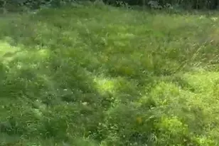 35 Lindbergh, New City, NY 10956 - Photo 20