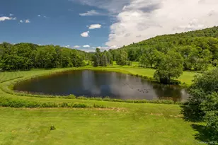 600 Jeffersonville N Branch Rd Rd, North Branch, NY 12766 - Photo 40