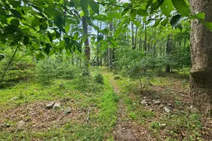 624 Oakland Valley Rd, Cuddebackville, NY 12729 - Photo 10