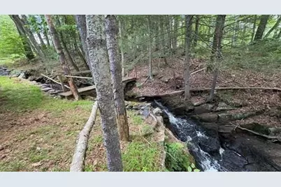 20 Airport Road, Eldred, NY 12732 - Photo 4