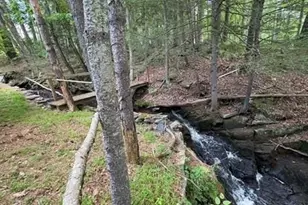 20 Airport Rd, Eldred, NY 12732 - Photo 4