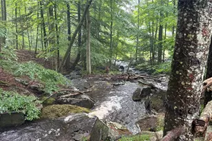 20 Airport Rd, Eldred, NY 12732 - Photo 12