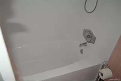 24 Garnet Place, Elmont, NY 11003 - Photo 42