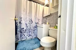 222-89 Braddock Ave, Bellerose, NY 11428 - Photo 18