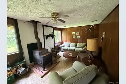 9 Lake Drive, Parksville, NY 12768 - Photo 4