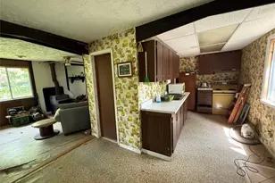 9 Lake Dr, Parksville, NY 12768 - Photo 24