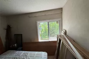 9 Lake Dr, Parksville, NY 12768 - Photo 20