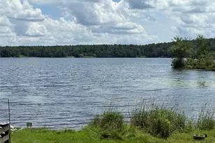 9 Lake Dr, Parksville, NY 12768 - Photo 30