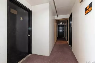 275 Howard Avenue, Brooklyn, NY 11233 - Photo 12